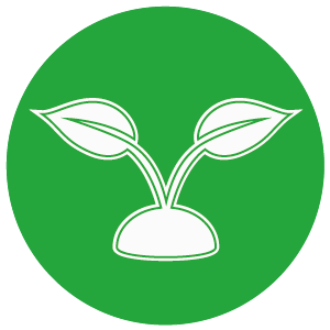 Elementos